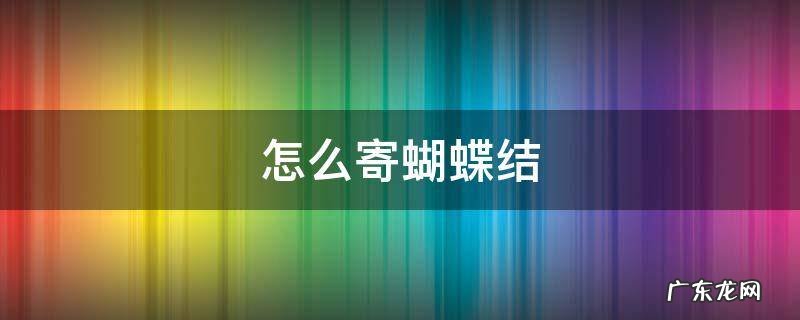 怎么寄蝴蝶结 怎么寄蝴蝶结衣服领子
