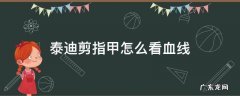 小泰迪剪指甲怎么看血线 泰迪剪指甲怎么看血线