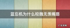 蓝忘机为什么咬魏无羡嘴唇 魔道祖师蓝忘机为什么咬魏无羡
