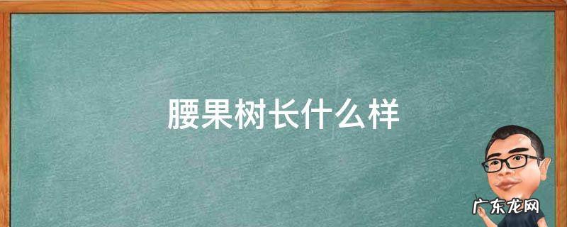腰果树长什么样看看 腰果树长什么样