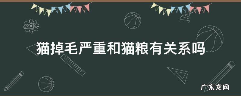 猫掉毛严重和猫粮有关系吗 猫粮不好猫咪会脱毛吗