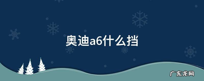 奥迪a6什么挡 奥迪a6l属于什么档