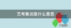 艺考集训 艺考集训是什么意思