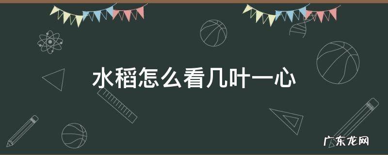 水稻四叶一心要多长时间 水稻怎么看几叶一心