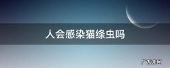 人会感染猫绦虫吗 猫感染了绦虫,人也会感染吗