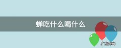 蝉吃什么喝什么 蝉吃什么食物