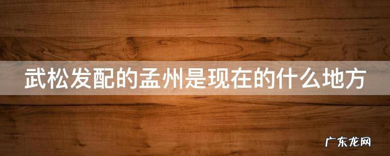 武松发配孟州途中在什么酒店结识什么 武松发配的孟州是现在的什么地方