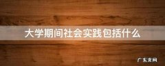 大学期间社会实践有哪些 大学期间社会实践包括什么