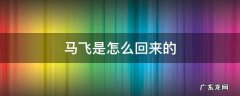 马飞是怎么回来的 马飞是真的吗