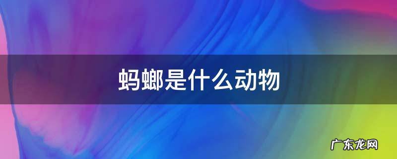 蚂螂是什么动物 蚂蚁是哪种动物