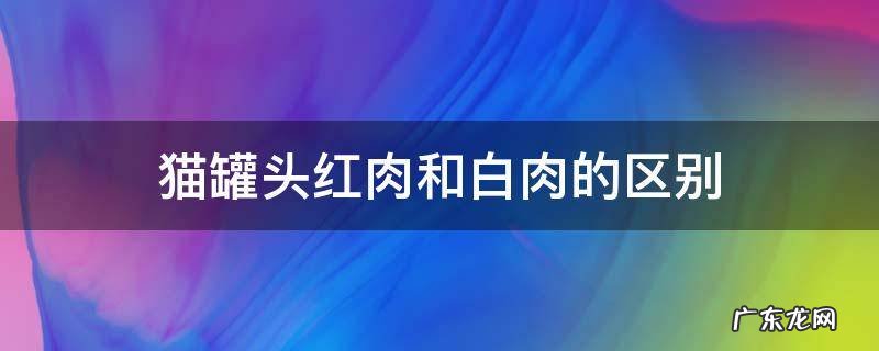 猫罐头红肉和白肉的区别 红肉猫罐头和白肉猫罐头有什么不一样