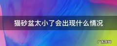 猫砂盆不够大怎么办 猫砂盆太小了会出现什么情况
