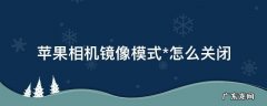 苹果相机镜像模式*怎么关闭 苹果相机镜像模式怎么关闭ios14