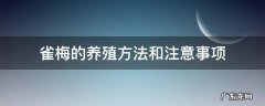 雀梅的养殖方法和注意事项冬季 雀梅的养殖方法和注意事项