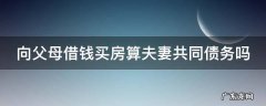向父母借钱买房算夫妻共同债务吗 向父母借钱买房算夫妻共同债务吗