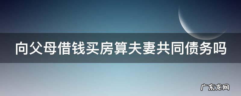 向父母借钱买房算夫妻共同债务吗 向父母借钱买房算夫妻共同债务吗