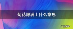 菊花爆满山什么意思 菊花开满山是什么意思
