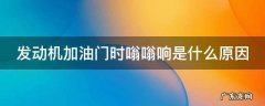 发动机加油门时嗡嗡响是什么原因视 发动机加油门时嗡嗡响是什么原因