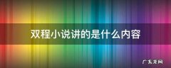 双程小说写的什么 双程小说讲的是什么内容