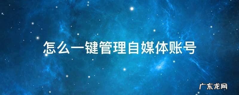怎么一键管理自媒体账号 如何做好一个自媒体账号