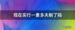 现在可以一夫多妻制吗 现在实行一妻多夫制了吗