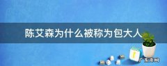 陈艾森为什么被称为包大人
