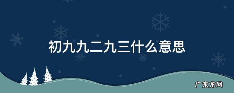 初九九一九二什么意思 初九九二九三什么意思