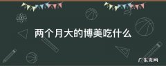 两个月大的博美吃什么 两个月大的博美吃什么水果