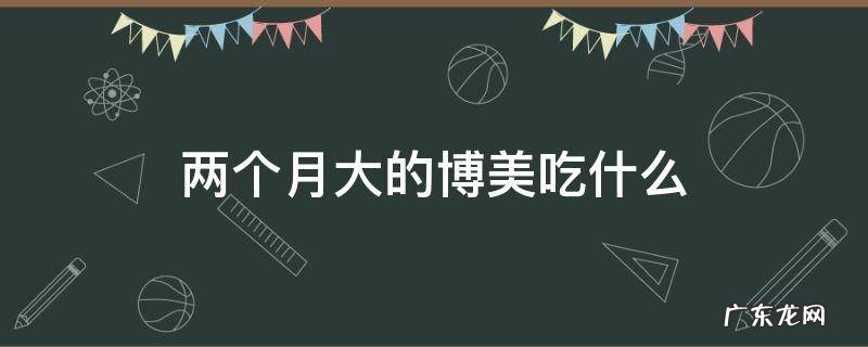 两个月大的博美吃什么 两个月大的博美吃什么水果
