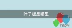 车的前叶子板是哪里 叶子板是哪里