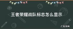王者荣耀战队标志怎么显示在主页 王者荣耀战队标志怎么显示