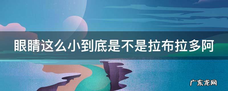眼睛这么小到底是不是拉布拉多阿 眼睛很小的狗狗叫什么犬