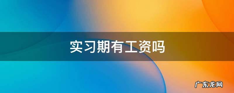 实习期有工资吗