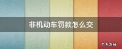 没有驾驶证非机动车罚款怎么交 非机动车罚款怎么交