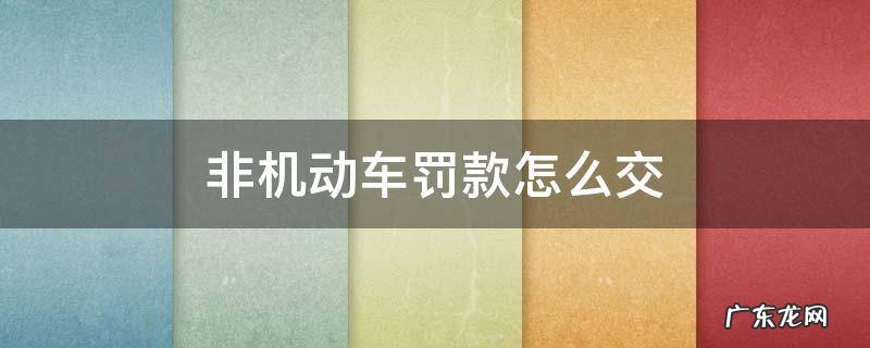 没有驾驶证非机动车罚款怎么交 非机动车罚款怎么交