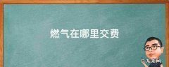 燃气在哪儿交费 燃气在哪里交费