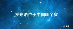 罗布泊位于中国哪个省 罗布泊是哪个省管辖?