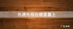 光遇墓土先祖在哪里 光遇先祖在哪里墓土