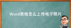 Word表格怎么上传电子照片 电子照片怎么上传到word表格中