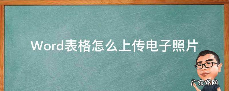 Word表格怎么上传电子照片 电子照片怎么上传到word表格中