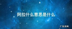 阿拉什么意思是什么 什么叫阿拉