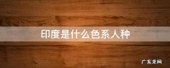 印度是什么色系人种 印度是什么人种