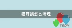 猫耳螨怎么清理 小奶猫耳螨怎么清理