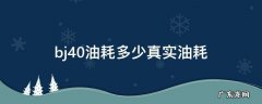 bj40油耗多少真实油耗 bj40油耗多少真实油耗多少