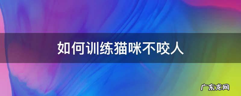 如何训练猫咪不咬人 训练猫咪不咬人方法|猫咪纠正训练