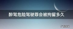 醉驾危险驾驶罪会被拘留多久 醉驾多少会被拘留