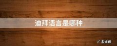 迪拜语言是哪种 迪拜是什么语种