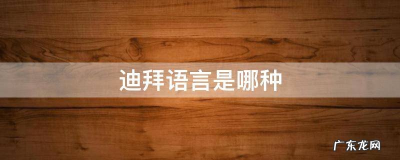 迪拜语言是哪种 迪拜是什么语种