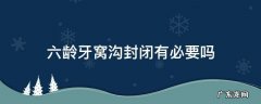 六龄牙齿窝沟封闭有必要做吗 六龄牙窝沟封闭有必要吗