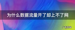 为什么数据流量开了却上不了网怎么办 为什么数据流量开了却上不了网